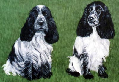 Pet Portraits - 2 Cocker Spaniels