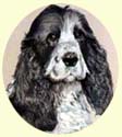 Click for Larger Cocker Spaniel painting