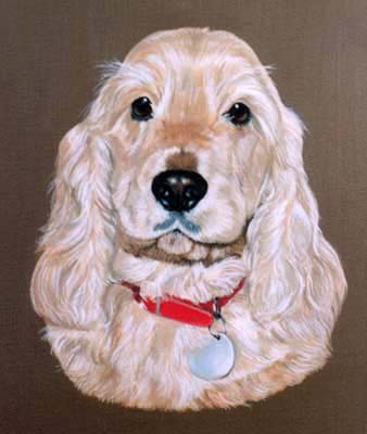 Pet Portraits - Cocker Spaniel Painting