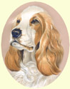 Click for Larger Cocker Spaniel painting