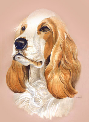 Dog Portraits - Pet Portraits - Cocker Spaniel Paintings