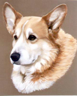 Pet Portraits Corgi Oil Painting By Isabel Clark