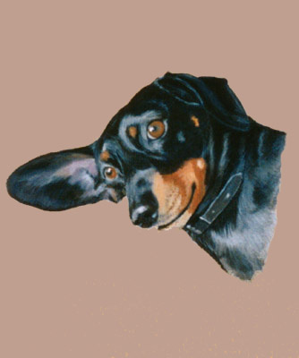 Pet Portraits - Dachshunds (Dachshounds) paintings