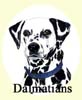 Click for more Images of Dalmatians