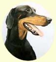 Click for larger image of Doberman painting