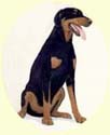 Click for larger image of Doberman painting