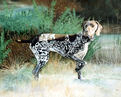 Pet  Portraits - German Pointer Full Body Study - Oils