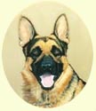 Click for Larger image of German Shepherd painting