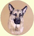 Click for Larger image of German Shepherd painting