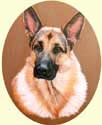 Click for Larger image of German Shepherd painting