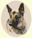 Click for Larger image of German Shepherd painting