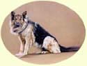 Click for Larger image of German Shepherd painting