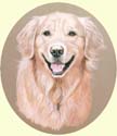 Click for larger image of Golden Retriever painting