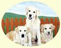 Click for larger image of Golden Retriever painting