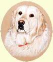 Click for larger image of Golden Retriever painting