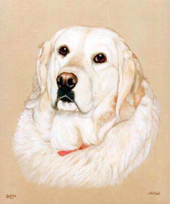 Pet Portraits - Dog Paintings from Your Own Photos - Golden Retriever