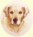 Click for larger image of Golden Retriever painting