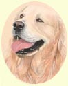 Click for larger image of Golden Retriever painting