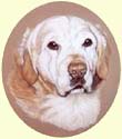 Click for larger image of Golden Retriever painting