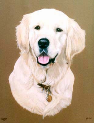 Pet Portraits Golden Retriever dog paintings