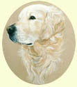 Click for larger image of Golden Retriever painting