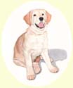 Click for larger image of Golden Retriever painting