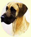 Click for larger image of Great Dane painting