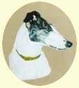 Click for Larger Image of Greyhound