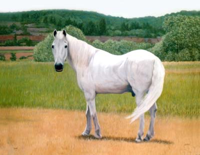 Horse Painting by Isabel Clark