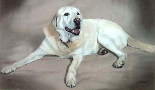 Pet Portraits - Dog Paintings & Puppy Paintings from your OWN photos make Very Special Gifts