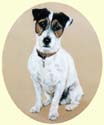 Click for larger Image of Jack Russell Terrier painting