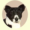 Click for larger Image of Jack Russell Terrier painting