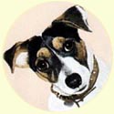 Click for larger Image of Jack Russell Terrier painting