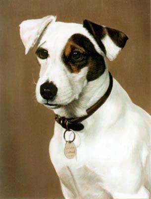 Pet Portraits dog paintings - Jack Russell Terrier painting by Isabel Clark, English Artist