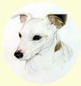 Click for larger Image of Jack Russell Terrier painting