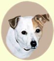 Click for larger Image of Jack Russell Terrier painting