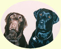 Click for Larger Image of Labrador Retriever Painting