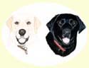 Click for Larger Image of Labrador Retriever Painting