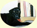 Click for Larger Image of Labrador Retriever Painting