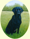 Click for larger image of Labrador Retriever painting