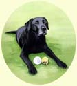 Click for Larger Image of Labrador Retriever Painting