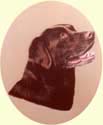 Click for Larger Image of Labrador Retriever Painting