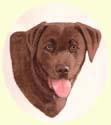 Click for Larger Image of Labrador Retriever Painting