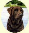 Click for Larger Image of Labrador Retriever Painting