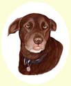 Click for Larger Image of Labrador Retriever Painting