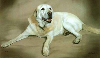 Pet Portraits - Labrador Ben Full Body Study in Oils