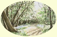 Pet Portraits-Dogs, Cats, Animals, Landscapes & Cards from Your Own Photos