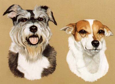 Pet Portraits - Mixed Groups - Bearded Collie and Jack Russell Terrier - Oils