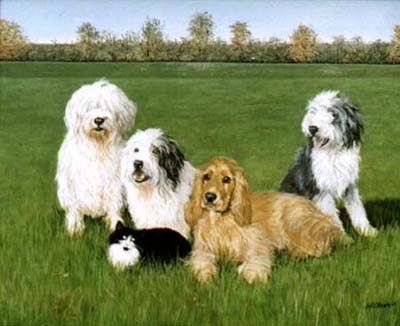 Pet Portraits - 4 Dogs and a Cat - Oils