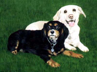 Pet Portraits - Cavalier King Charles Spaniel and Labrador - Oils